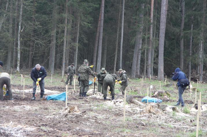 fot&#x2e;&#x20;U&#x2e;Olejnicka&#x20;Nadleśnictwo&#x20;Browsk