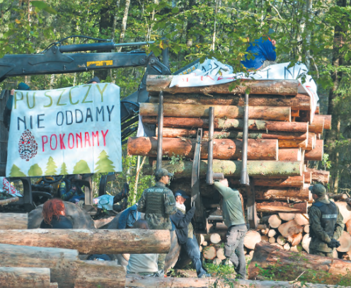 Fot&#x2e;&#x20;Dyrekcja&#x20;Generalna&#x20;Lasów&#x20;Państwowych