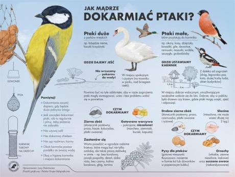 Zapraszamy na akcję "Dokarmiaj ptaki z leśnikiem"