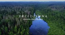 film „Przedziwna Puszcza Białowieska"