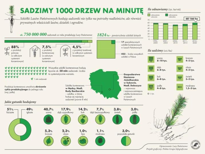 infografika&#x20;dot&#x2e;&#x20;sadzenia&#x20;lasu