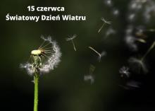 Dzień Wiatru