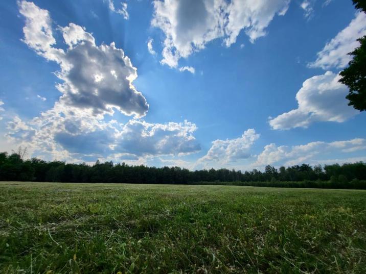 na&#x20;zdjęciu&#x20;widać&#x20;skoszoną&#x20;łąkę&#x2c;&#x20;a&#x20;w&#x20;tle&#x20;las&#x20;&#x28;fot&#x2e;&#x20;Kamil&#x20;Sakowski&#x29;