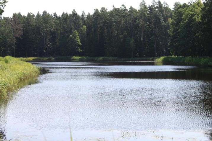 Zbiornik&#x20;Gnilec&#x20;-&#x20;fot&#x2e;&#x20;U&#x2e;&#x20;Olejnicka&#x20;Nadleśnictwo&#x20;Browsk&#x20;w&#x20;Gruszkach