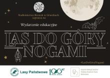 Poznaj "Las do góry nogami" w ramach Międzynarodowej Nocy Nietoperzy