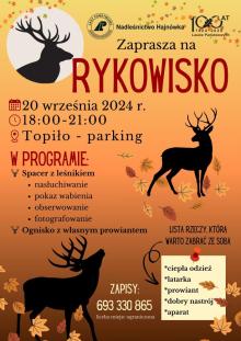 Rykowisko w Nadleśnictwie Hajnówka