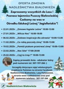 Co robią pszczoły zimą? (Nadleśnictwo Białowieża)