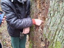 "Zostań tropicielem" – edukacyjna przygoda w Nadleśnictwie Browsk