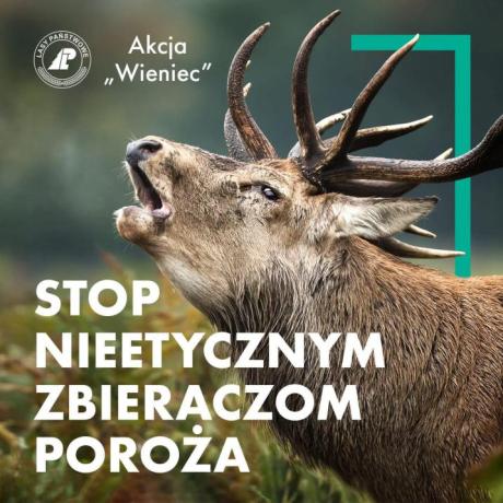 Rusza akcja „Wieniec”