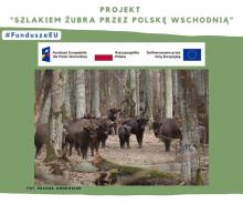 Szlakiem żubra przez Polskę Wschodnią