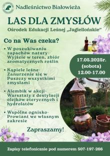 Las dla zmysłów (Nadleśnictwo Białowieża)