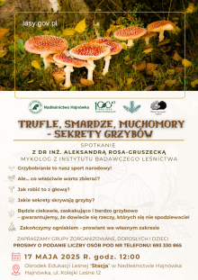 Trufle, smardze, muchomory - sekrety grzybów (Nadleśnictwo Hajnówka)