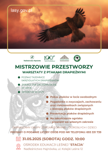 MISTRZOWIE PRZESTWORZY (Nadleśnictwo Hajnówka)