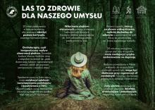 Lasy – apteka dla naszego umysłu